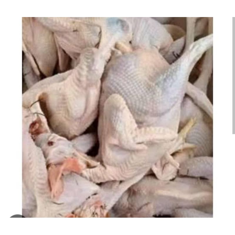 

AYAM MERAH PER EKOR SAYUR SEGAR PALEMBANG