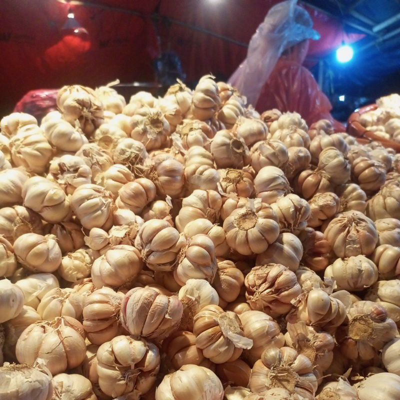 bawang putih 1Kg / bawang / bawang putih murah/bawang murah/bawang /bawang putih