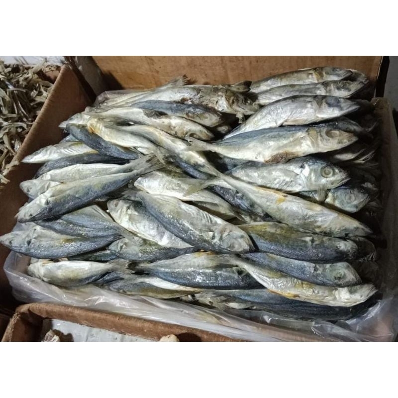 

Ikan Asin Layang/Japuh 1kg