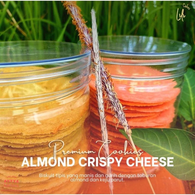 

almon crispy cheese