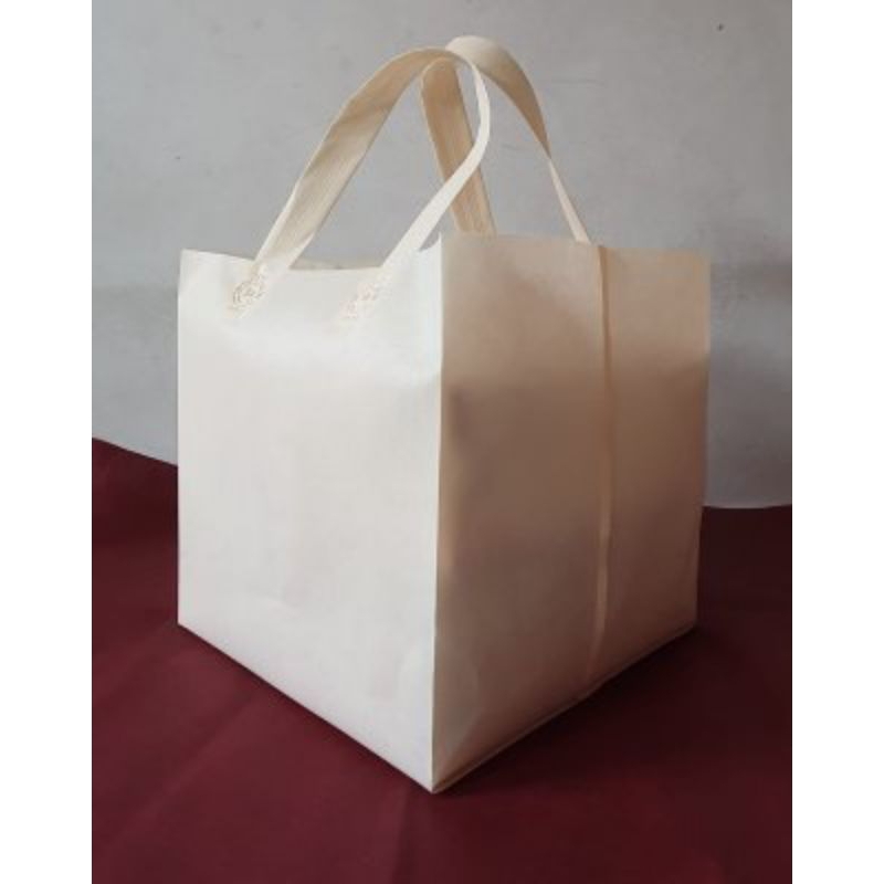 

TAS HAJATAN BOX TAS SPUNBOND KOTAK MAKAN AQIQAH BISA SABLON