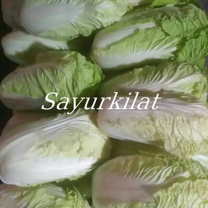

Sawi putih / pcs