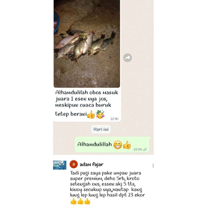 Essen Juara Untuk Lomba Mancing Ikan Mas BANYAK BONUS!!