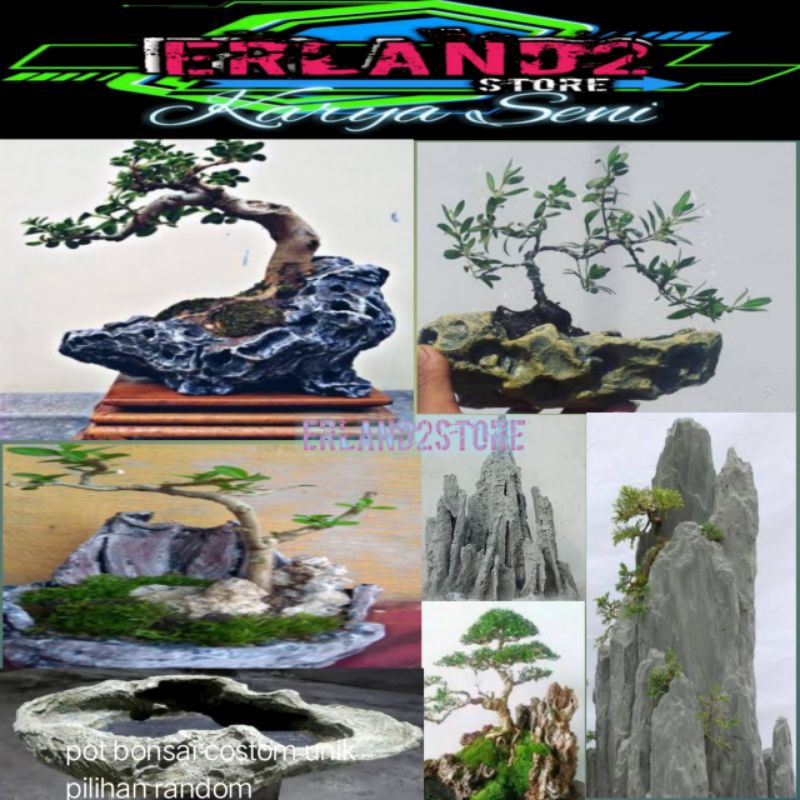 pot bonsai pejing custom unik