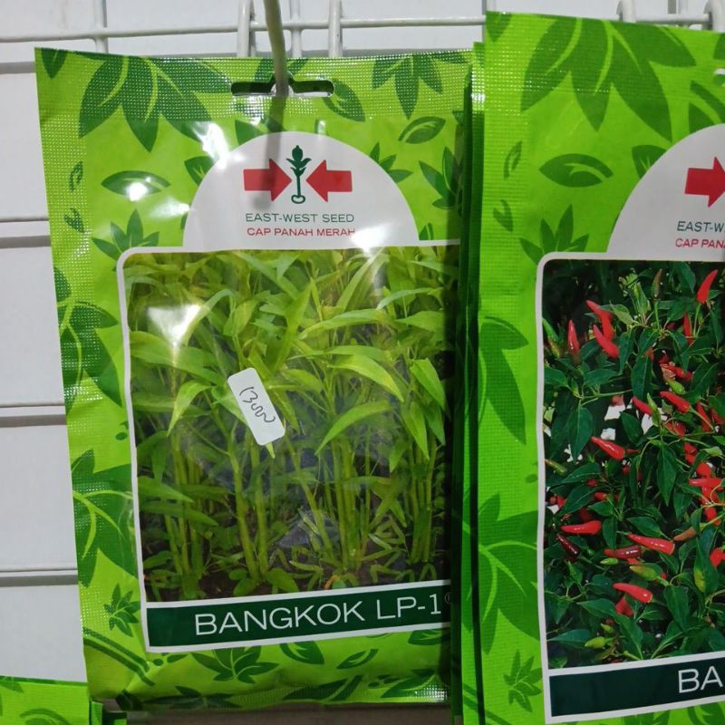 benih unggul KANGKUNG DARAT BANGKOK ISI 1500 BUTIR