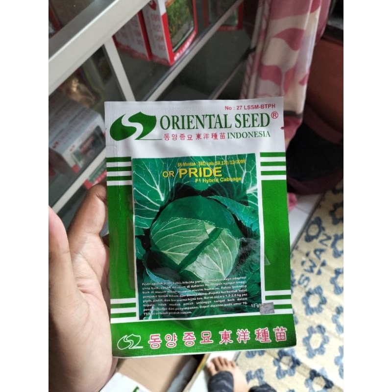 Or Pride dari Oriental Seed