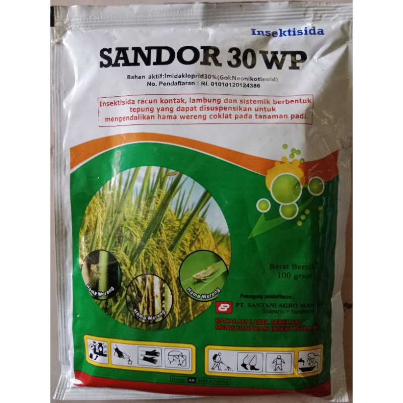 SANDOR 30WP 100GR