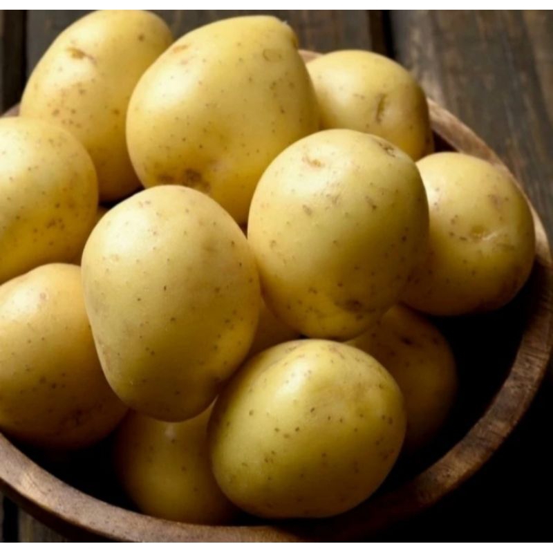 

KIRIM INSTAN" Kentang ( Potato )