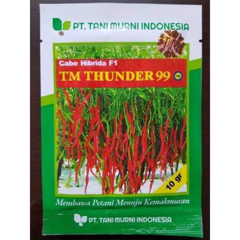 

TM THUNDER 99