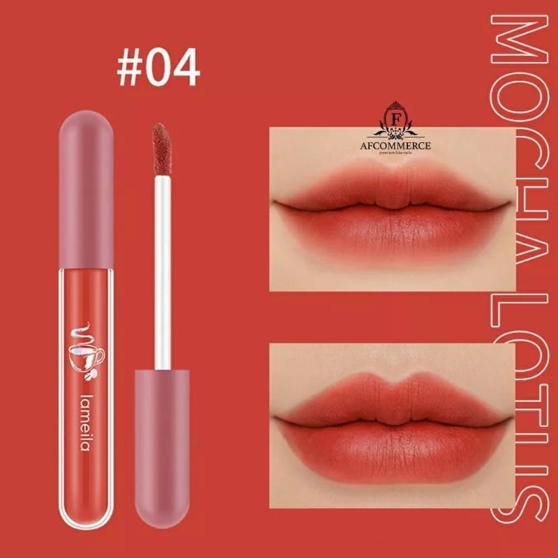 Lameila Lip Glaze Matte Lipstick Anti Air Lipstik Velvet Lip Gloss DJ 1041