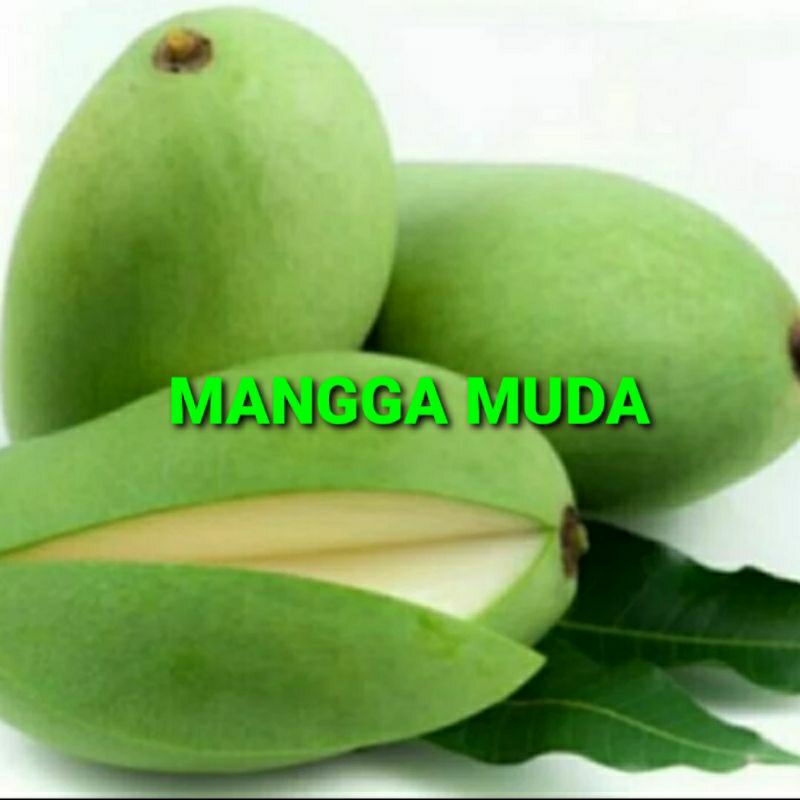 

MANGGA MUDA KHUSUS PARA SULTAN 1 KG (PREMIUM QUALITY)