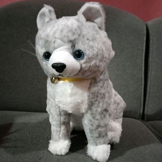 BONEKA KUCING ANGGORA PERSIA DUDUK CANTIK CUTE BAHAN LEMBUT