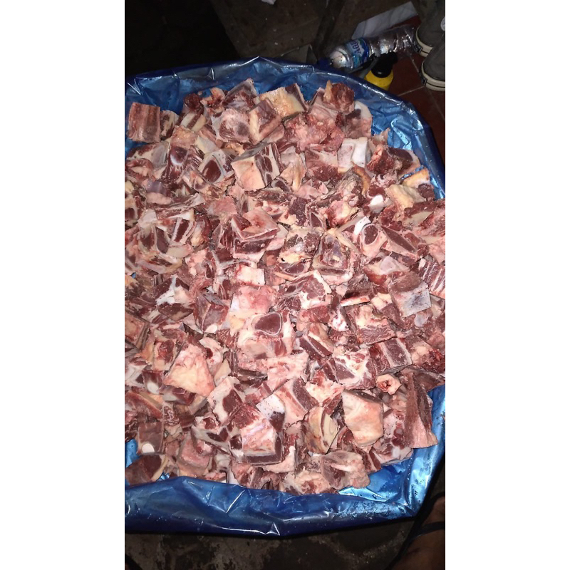 

Iga tulang rawan / iga tulang rangu