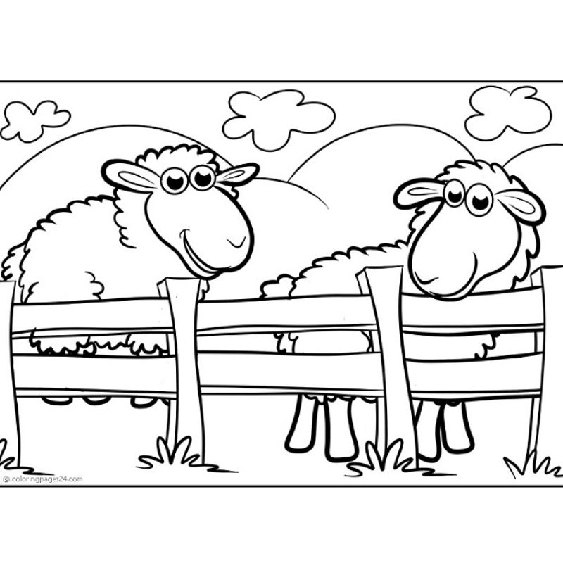 

Gambar Sketsa Mewarnai Edisi Hewan Peliharaan Kambing Domba Sheep / Seketsa Lukis / Drawing Sketch / Kertas Menggambar A4