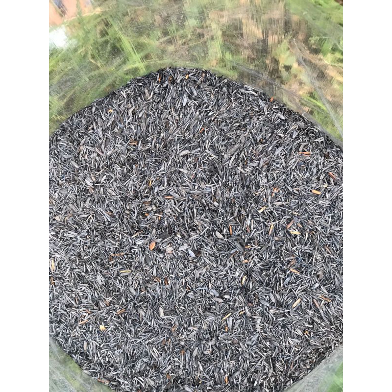 sekam bakar/ Arang Sekam karung 50kg