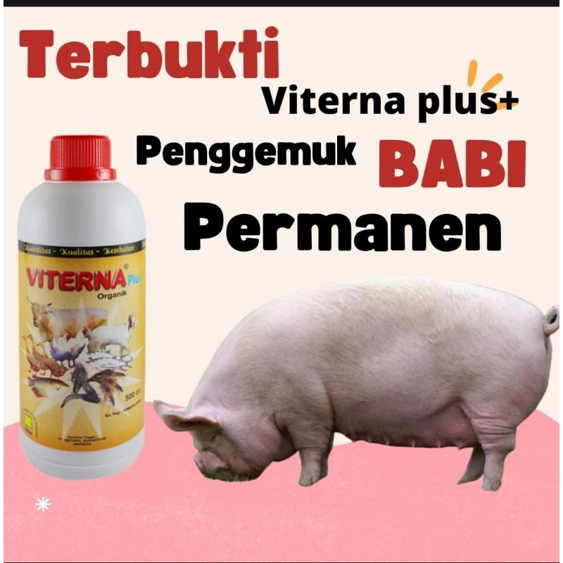 OBAT CACING BABI // VITAMIN UNTUK BABI // VITERNA 500ml // NUTRISI BABI CEPET GEMUK bisa COD