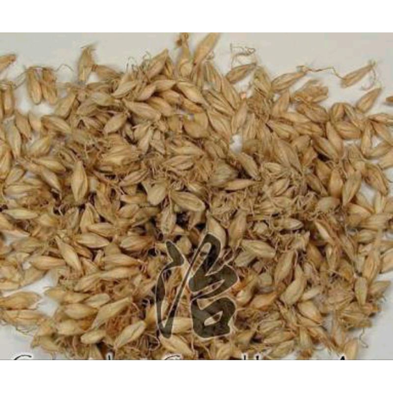 

600 G GR GRAM 生麦芽 SHENG MAI YA BARLEY SPROUT SPROUTS MALT