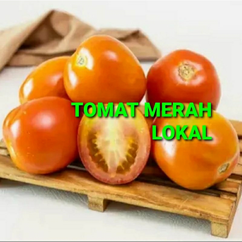 

TOMAT MERAH LOKAL KHUSUS PARA SULTAN 1 KG (PREMIUM QUALITY)