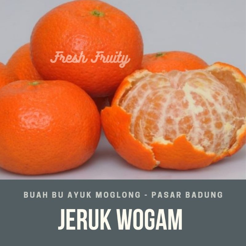 

jeruk mandarin wogam import