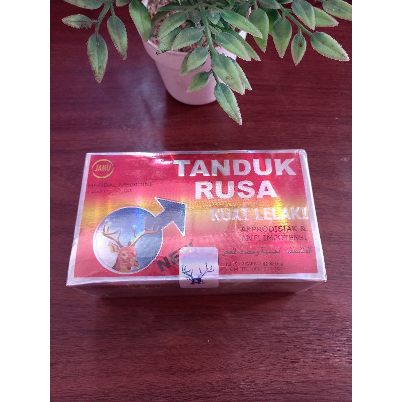 

Kapsul TR (tanduk rusa)