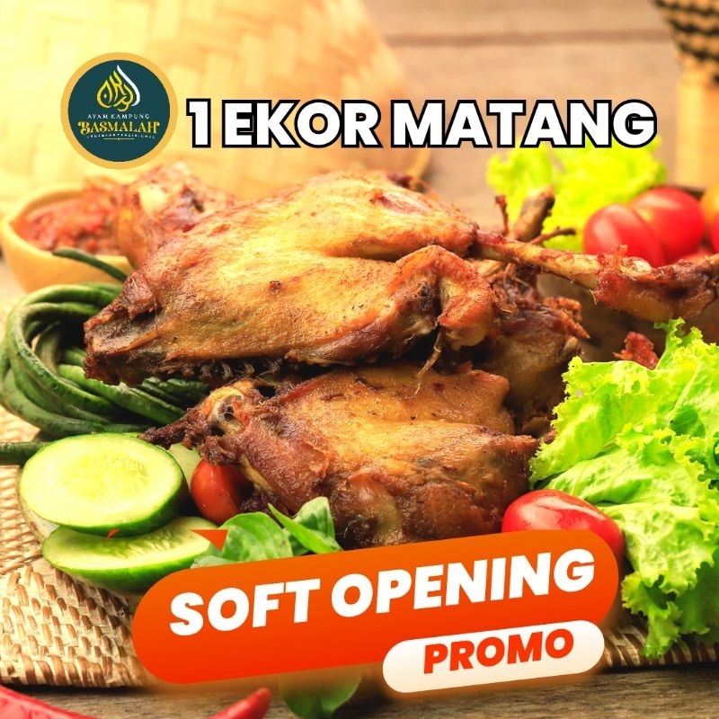 

Bebek Goreng 1 Ekor utuh