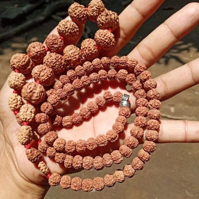 Mala rudraksha mukhi 1-mukhi 10