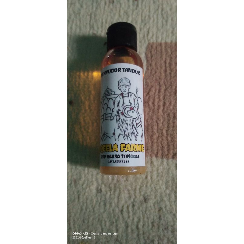 penyubur tanduk domba garut