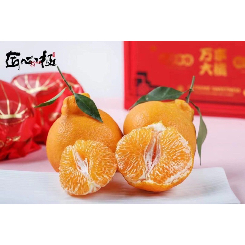 

Premium Chun Jian Papagan Oranges