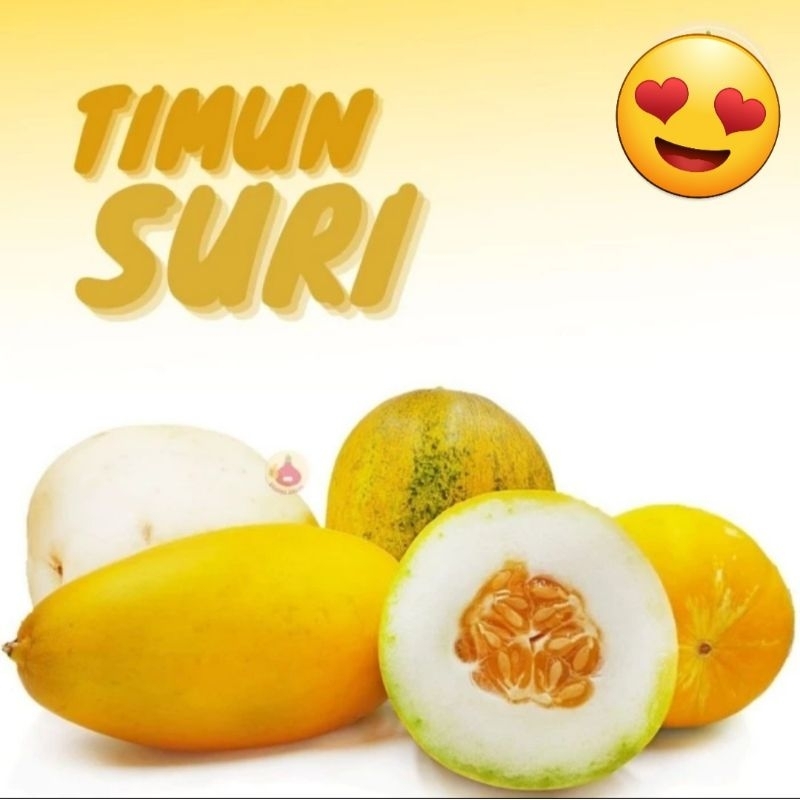 

Buah Timun Suri segar mentimun Super buat es campur buka puasa
