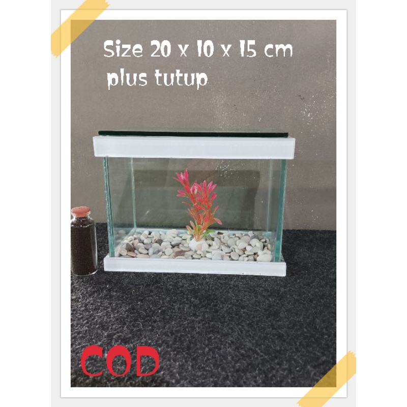 AQUARIUM UNIK CUSTOM AQUARIUM CHANA CUPANG