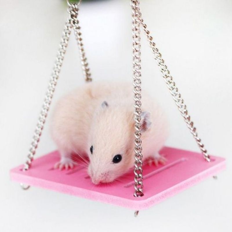 Hamtoro Rainbow Swing Mainan AYUNAN Hamster Lucu