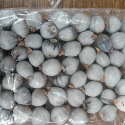 

MURAH HERBAL JAGUNG JALI KERING/COIX LACRYMA 1KG