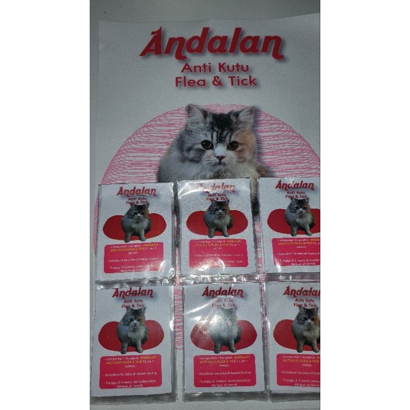 Andalan Anti Kutu untuk Kucing