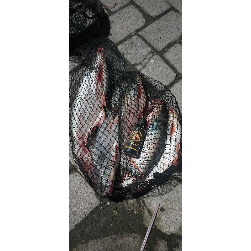 Essen Udang Premiun Jinchan