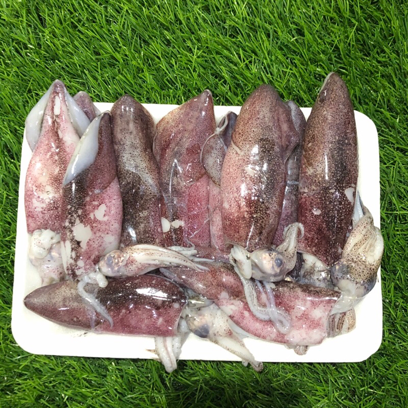 

CUMI SEGAR(FRESHPECKing MENGGUNAKAN FAKUM)