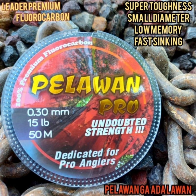 Leader Pelawan pro