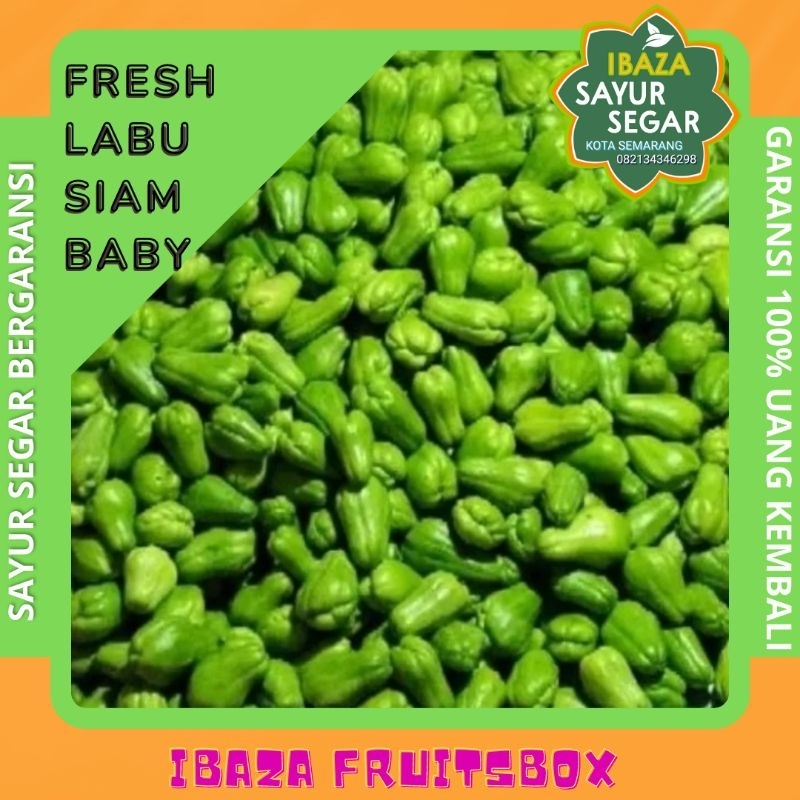 

Sayur Labu Siam Baby Sayur Segar IBAZA fruitsBOX