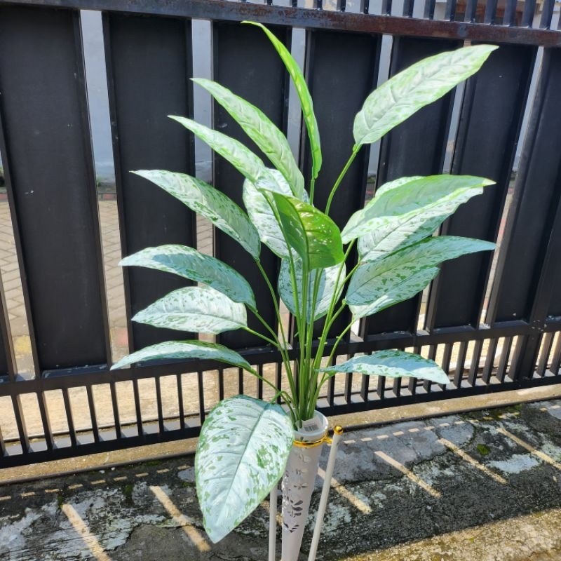 Daun Philodendron / Daun Calathea x18 (Tanpa pot)