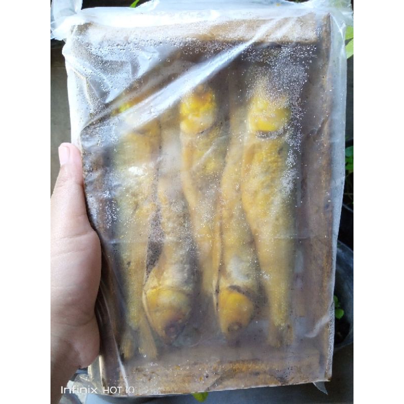 

bandeng presto frozen