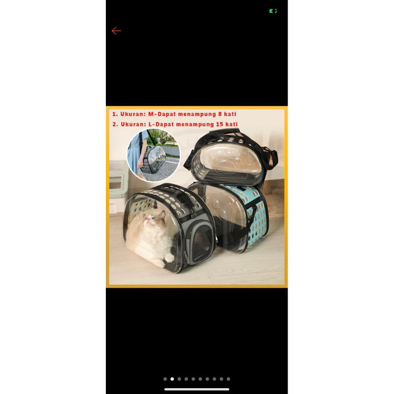 Tas travel anjing/kucing