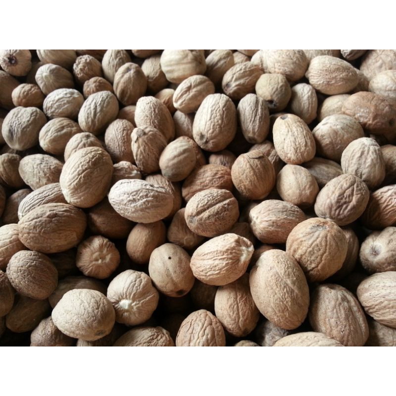 

BIJI PALA KUALITAS SUPER PARTAI