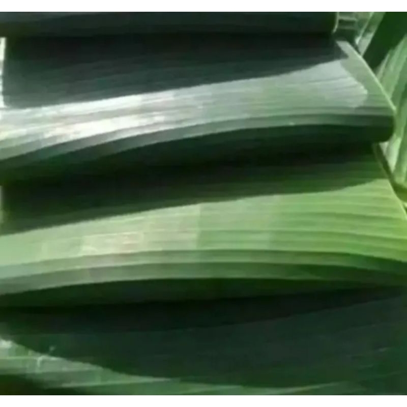 

promo 2kg daun pisang untuk bungkus kue dll