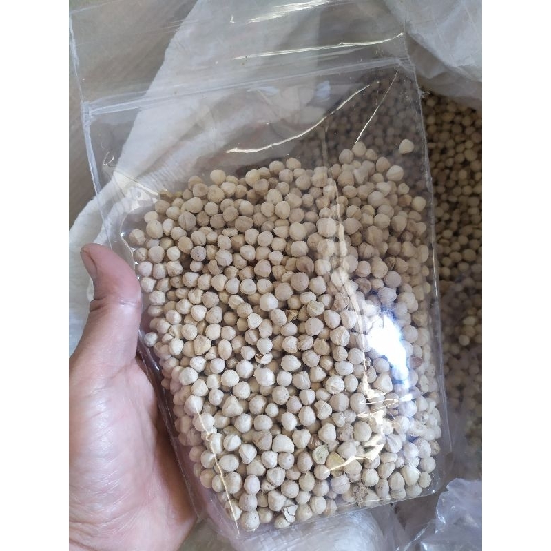 

Biji Kelor Kupas 1/2 Kg - Moringa Oleifera
