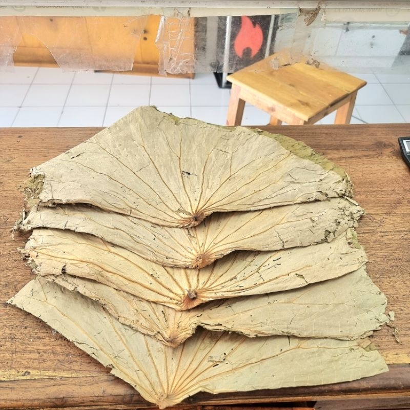 

Daun Teratai Kering Utuh 100 gr / Dried Lotus Leaf