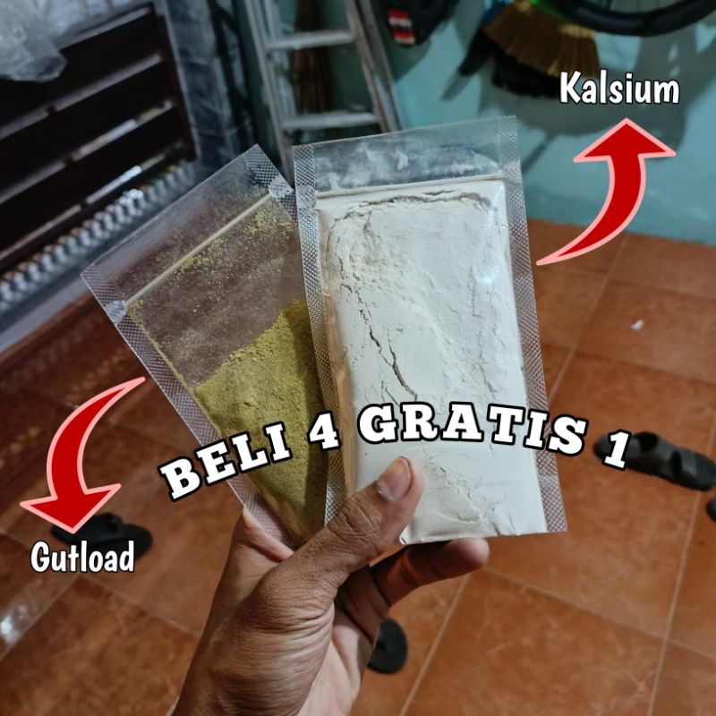 Paket Gutload dan Kalsium untuk gecko