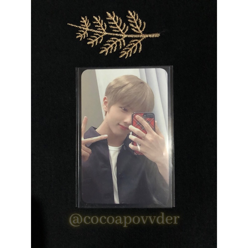 [BOOKED] JISUNG SANRIO GLASS CUP PHOTOCARD ONLY