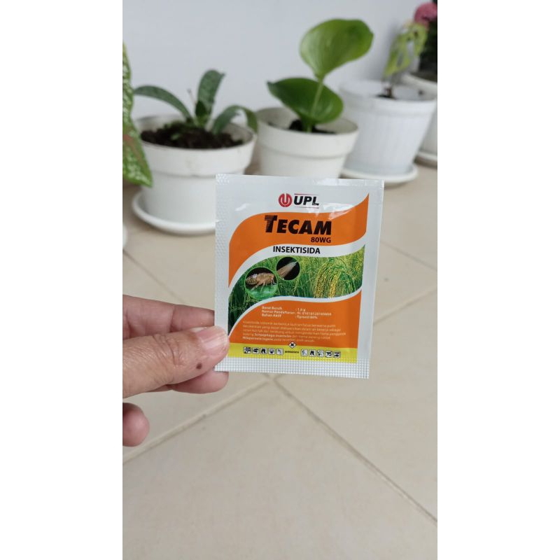 Insektisida Tecam 80 WG, Racun Semut Koloni, Pembasmi Kutu Hama