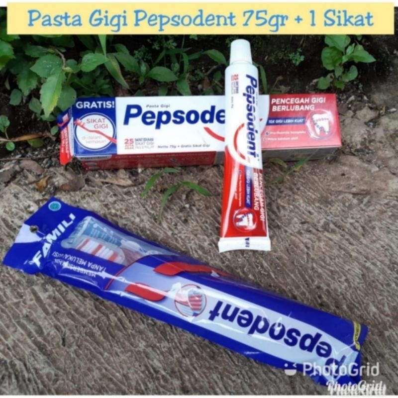 pasta gigi pepsodent 75gr gratis sikat gigi