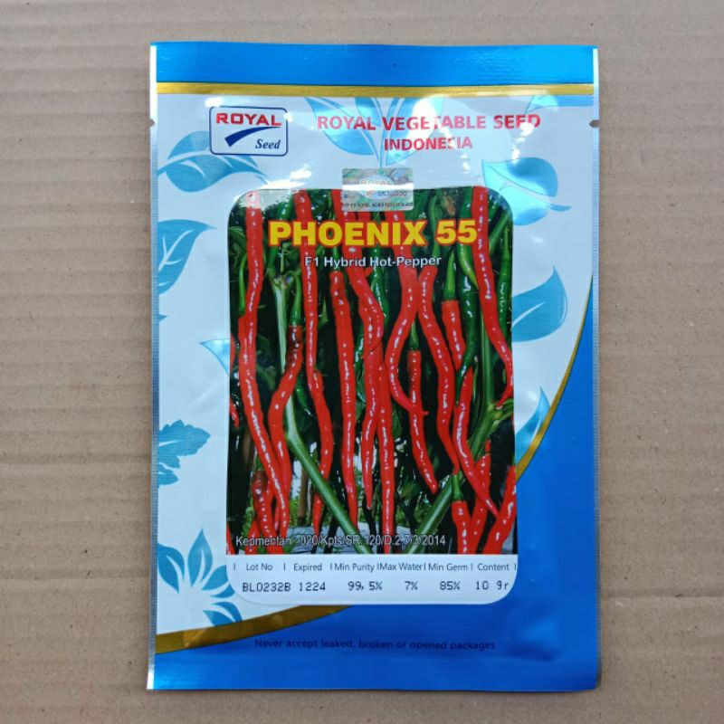 BENIH CABAI CABE MERAH KERITING PHOENIX 55 10gr