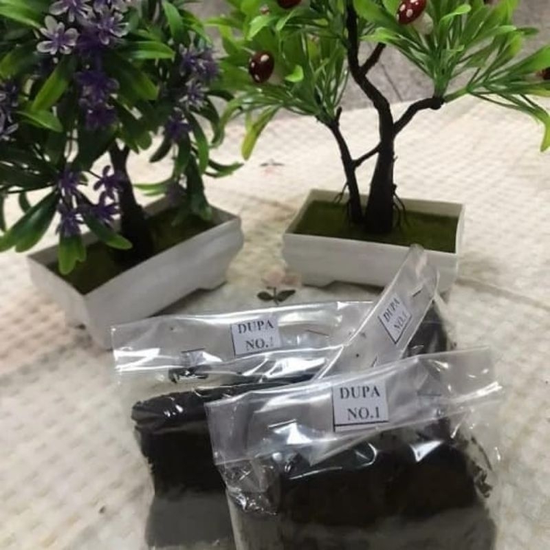 DUPA SUPER PEKALONGAN DENGAN AROMA YG KUWAT DAN UDAH TERUJI KEMASAN Bagus